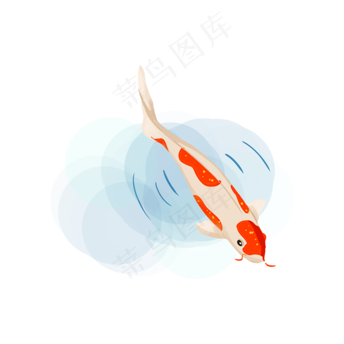 中国风锦鲤手绘插画,免抠元素