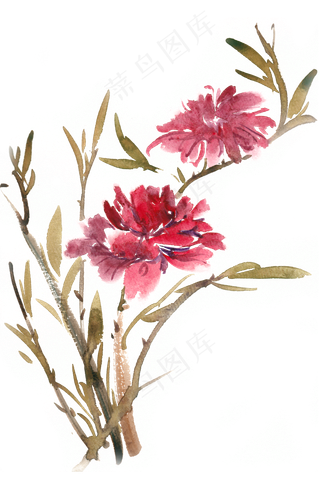 红色的花卉水彩画PNG免抠素材