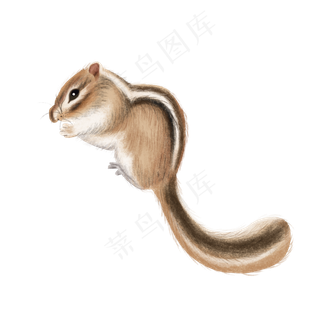 可爱宠物松树萌,免抠元素