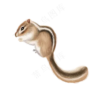 可爱宠物松树萌,免抠元素