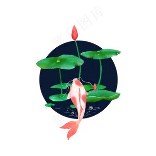 绿色荷叶荷花锦鲤