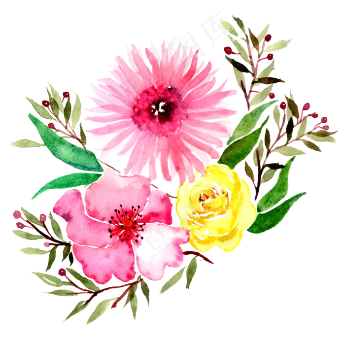 水彩花卉植物花卉鲜花(2000X2000(DPI:300))psd模版下载