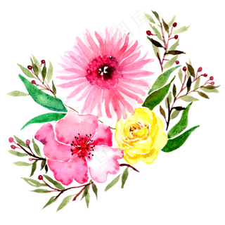 水彩花卉植物花卉鲜花