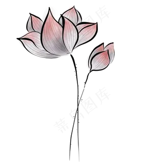 中国风水墨荷花