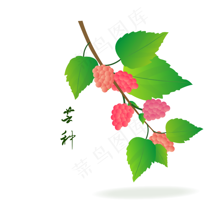 24节气芒种(4167*4167px 300 dpi )ai矢量模版下载