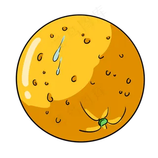 带着水滴的橙子