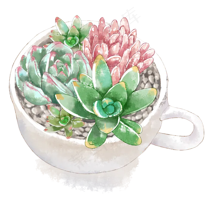 多肉水彩,免抠元素
