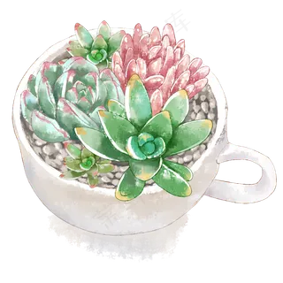 多肉水彩,免抠元素