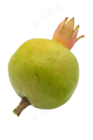 水果石榴小吃