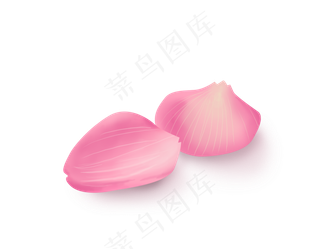 情人节手绘玫瑰花瓣,免抠元素