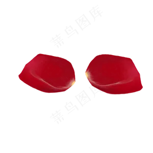 花瓣手绘通用词玫瑰花瓣