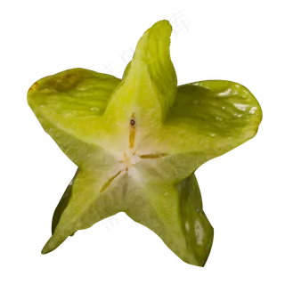 实拍果园果林水果杨桃