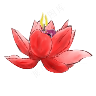 卡通大红色的荷花免抠图