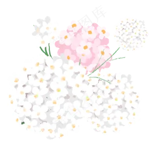 植物小花小清新唯美小花百花粉色