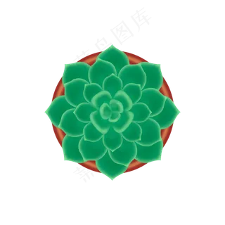 精美矢量手绘风多肉盆栽俯视元素,免抠元素