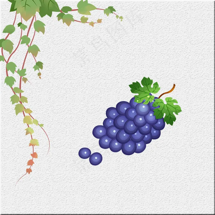 时尚大方水果葡萄淘宝主图直通车(800*800px 	        )psd模版下载
