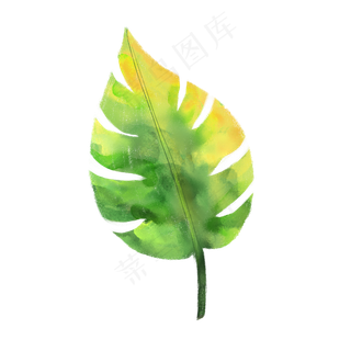 春天绿色水彩树叶,免抠元素
