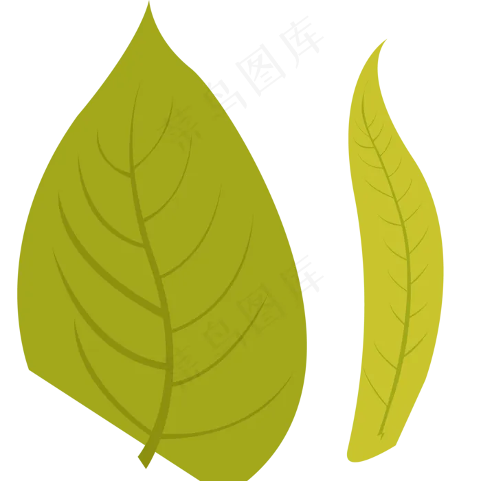 枝叶绿色春季植物(2000X2000(DPI:300))psd模版下载