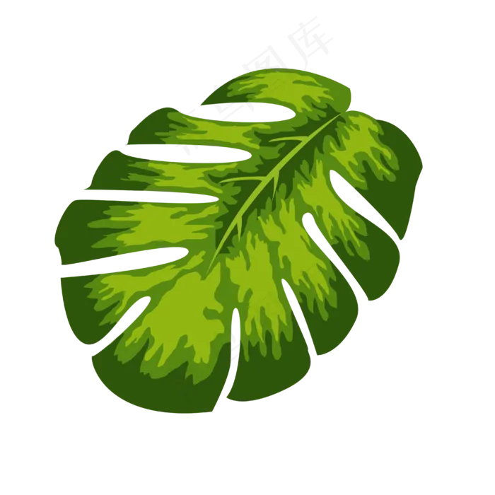 热带风格龟背竹龟背叶素材(4000X4000(DPI:300))psd模版下载