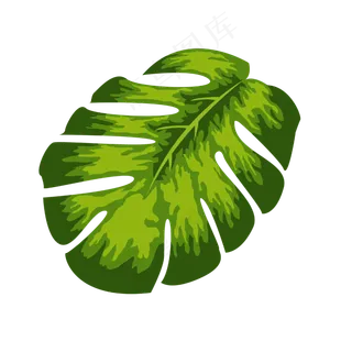 热带风格龟背竹龟背叶素材