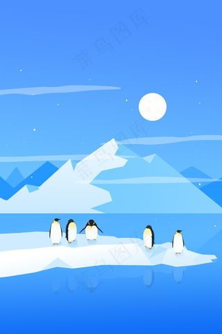 扁平渐变保护环境保护野生动物保护企鹅