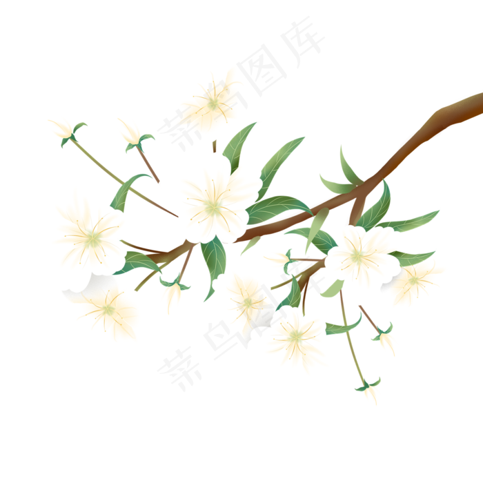 春天盛开的梨花(2000X2000(DPI:96))psd模版下载