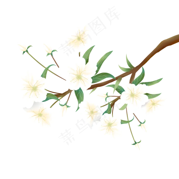 春天盛开的梨花(2000X2000(DPI:96))psd模版下载