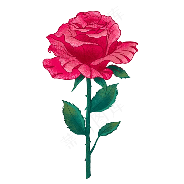 红色玫瑰花(2000X2000(DPI:300))psd模版下载