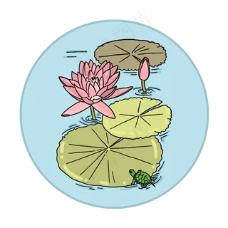 手绘夏日荷花粉色清新荷叶植物商