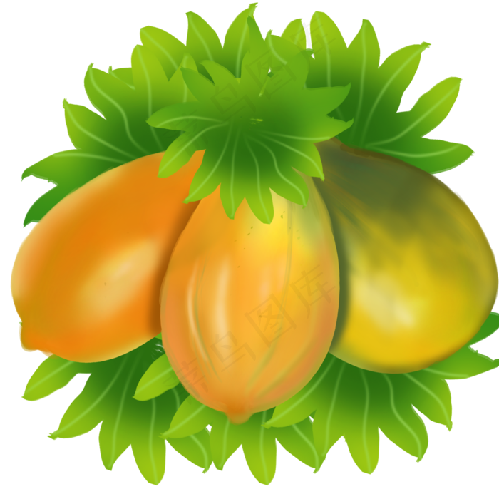 果水果瓜木瓜木瓜籽中药