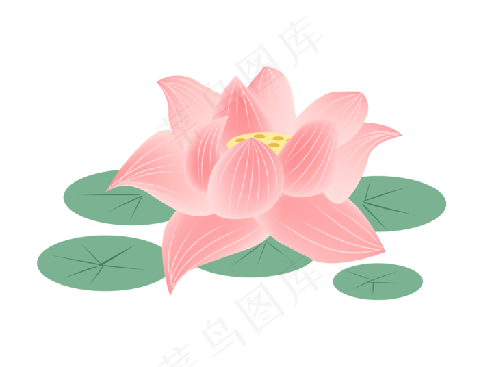 荷叶装饰荷花插画