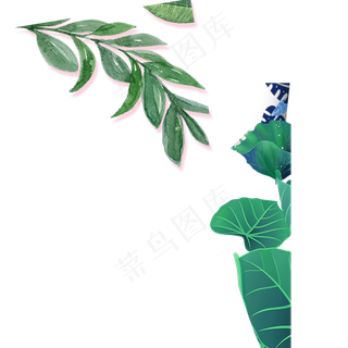 一片绿色叶子枝叶