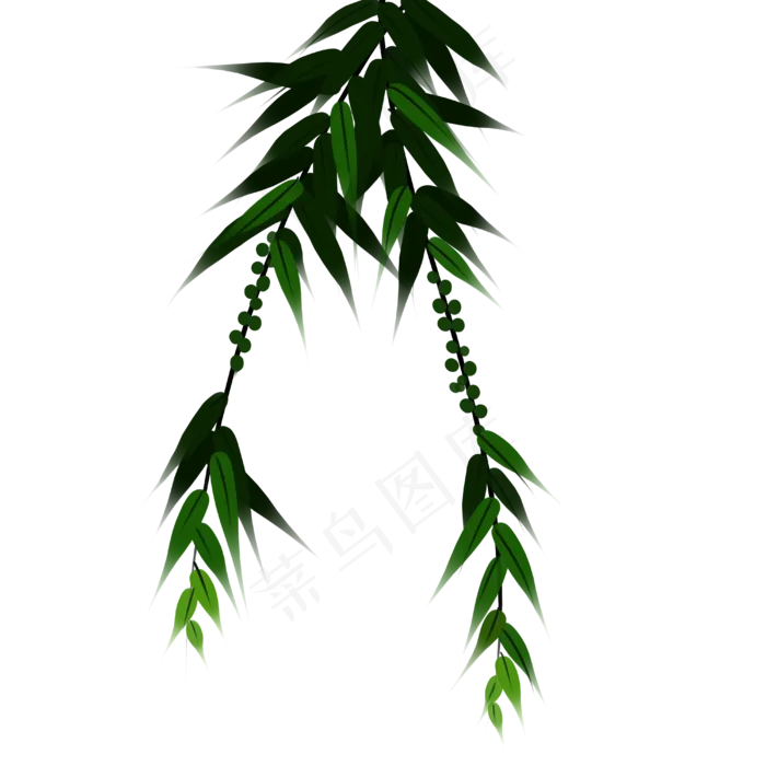 杨柳树春天发芽春天的脚步(4000X4000(DPI:150))psd模版下载