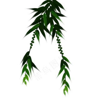 杨柳树春天发芽春天的脚步