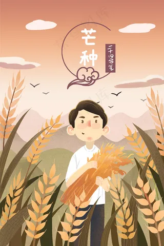 二十四节气之芒种