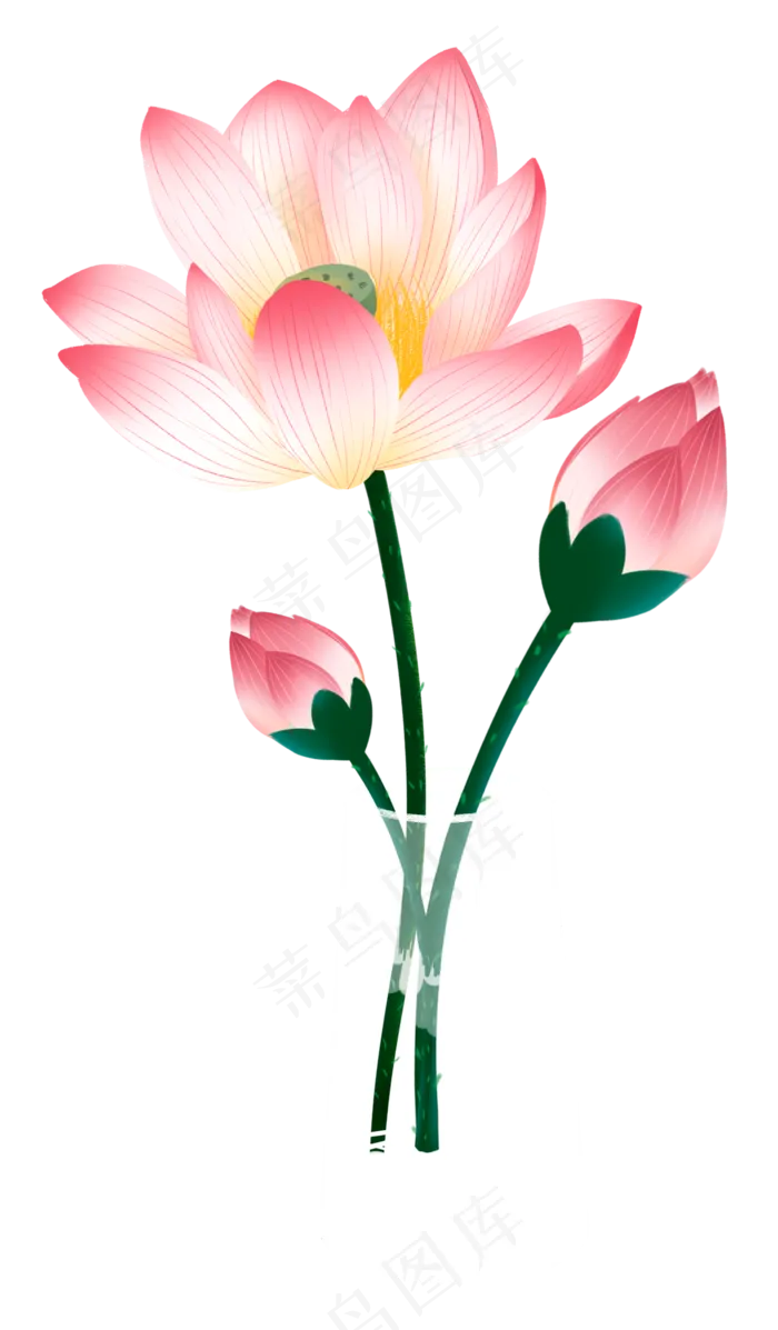 花瓶荷花(1170X2000(DPI:300))psd模版下载
