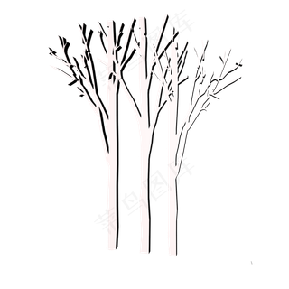 白色桦树.,免抠元素