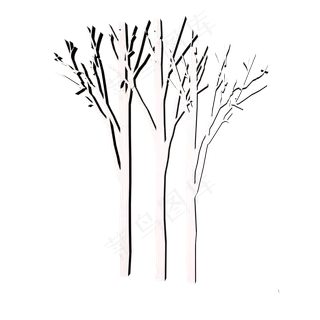 白色桦树.,免抠元素