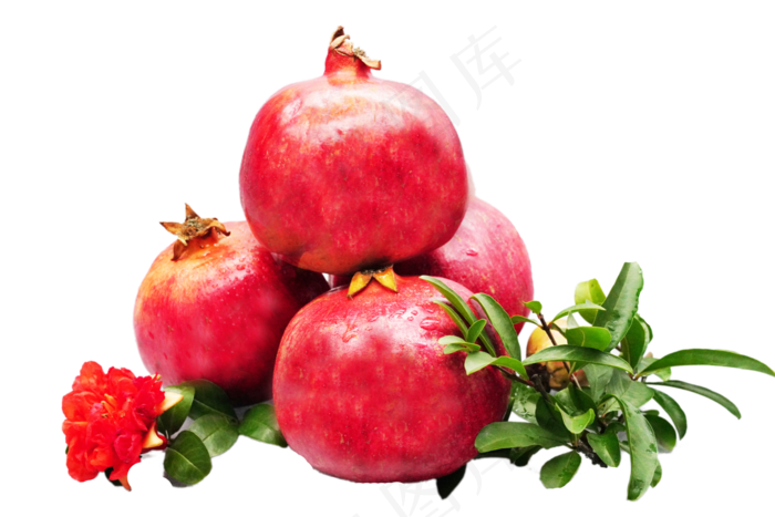 红色石榴石榴花