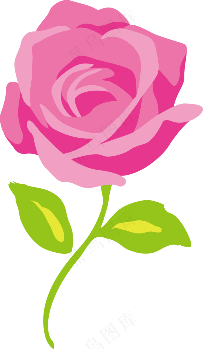 矢量手绘玫瑰花朵
