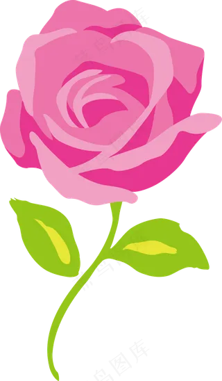 矢量手绘玫瑰花朵