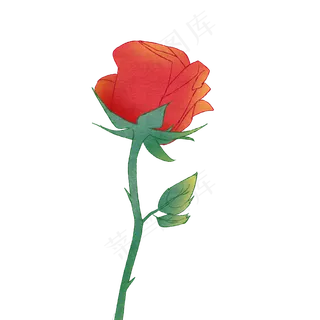 玫瑰花卡通水彩花束
