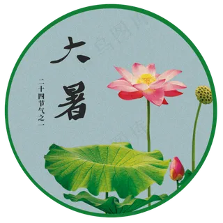 大暑之荷塘月色