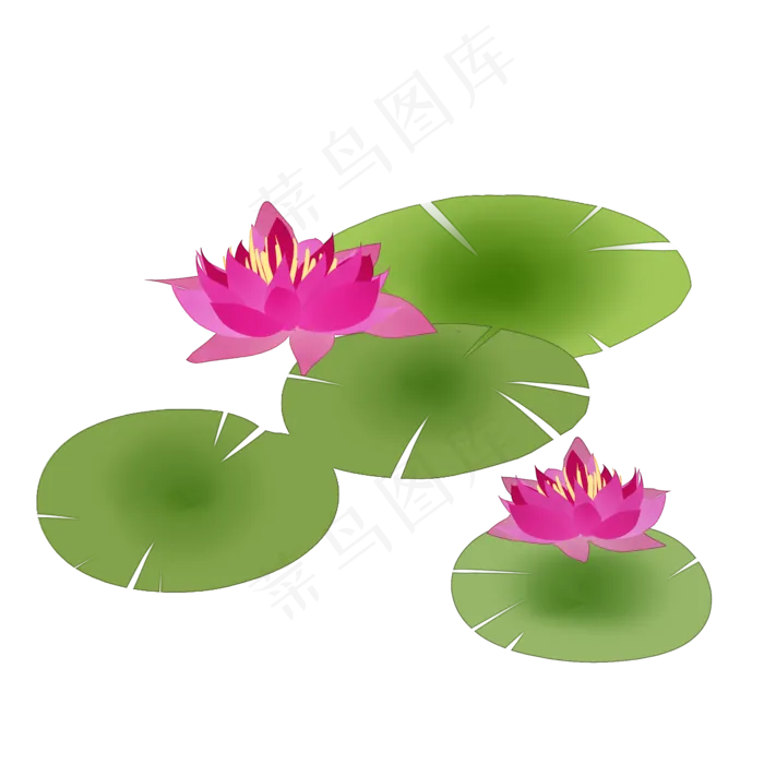 桃粉色荷花荷叶装饰(2000X2000(DPI:300))psd模版下载