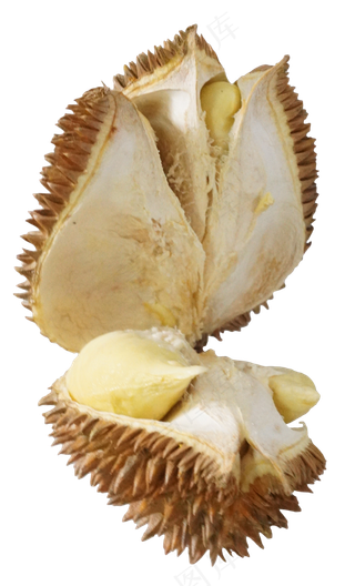 水果食物榴莲
