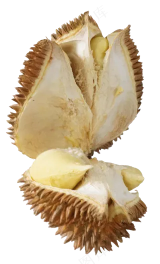 水果食物榴莲