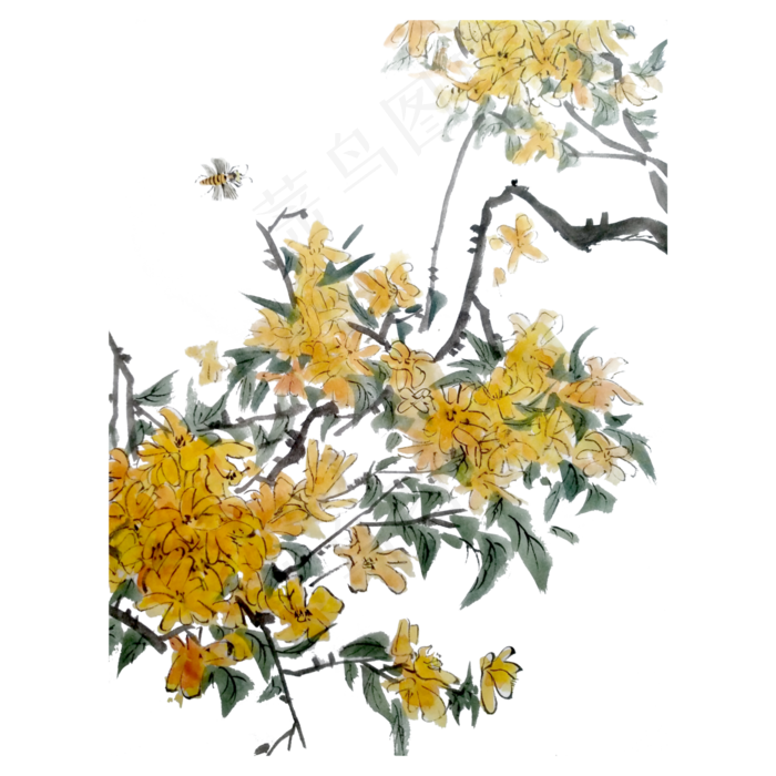 国画水墨迎春花蜜蜂黄花PNG花鸟,免抠元素(4000X4000(DPI:300))psd模版下载