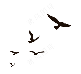 黑色飞禽动物飞翔,免抠元素
