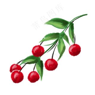 枝头上的手绘水果樱桃