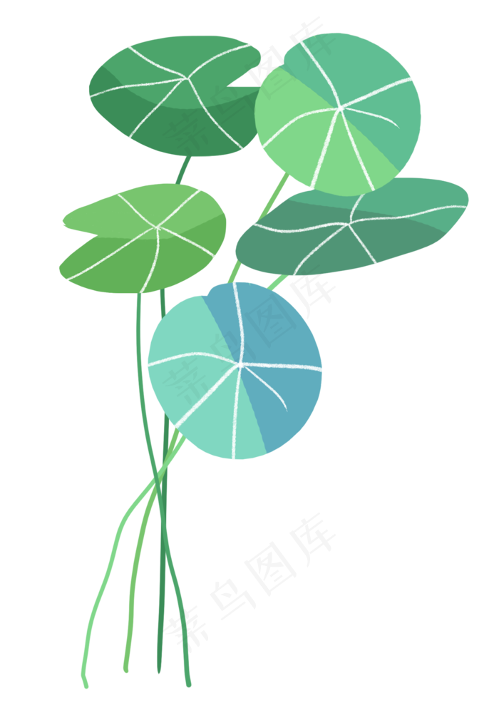 植物绿色树叶草叶子